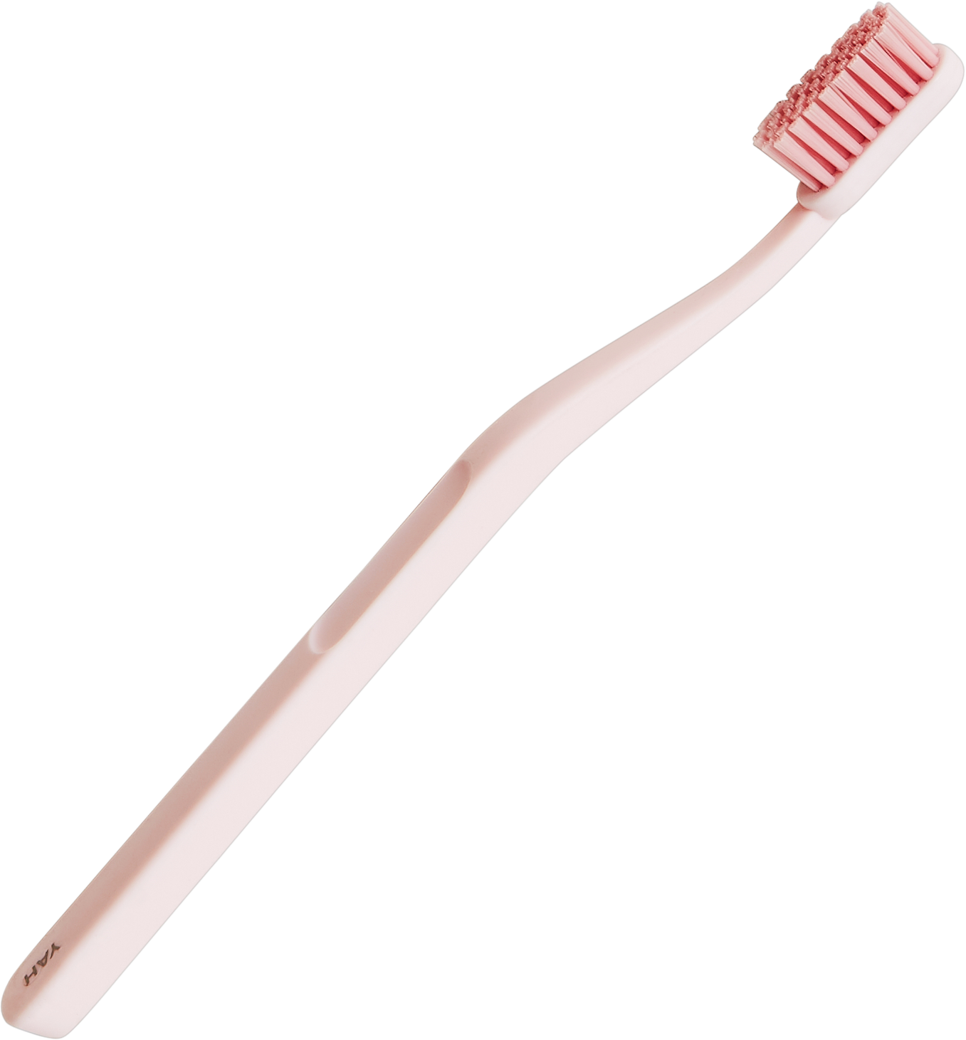 Lauren Windle toothbrush